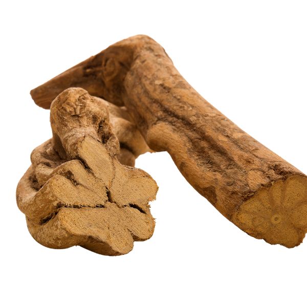 Ayahuasca homeopathic product, derived from Banisteriopsis caapi, displayed in different forms including pillules, drops and spray, available in various sizes.