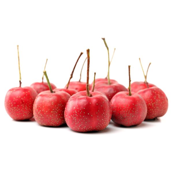 Crataegus oxyacantha homeopathic remedy in selected size, available as pillules, drops or spray in minimalist packaging