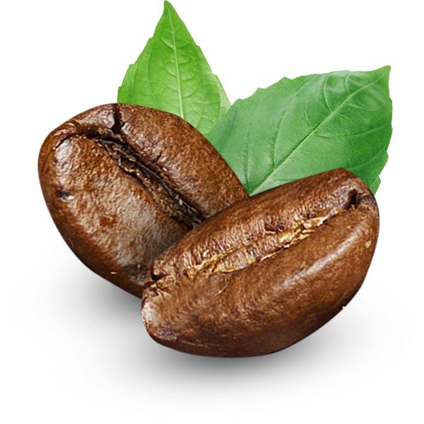 Coffea tosta homeopathic pills, drops, or spray in labeled small bottles with size options