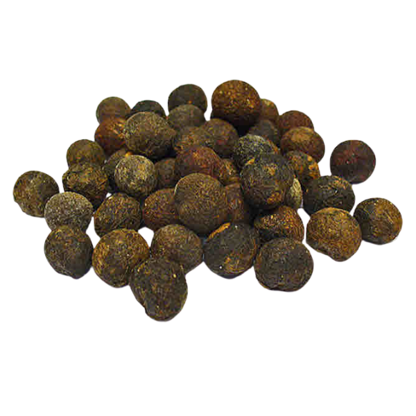 Cocculus indicus
