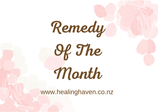 Remedy Of The Month