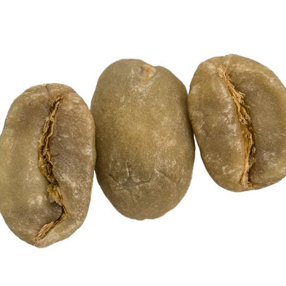 Coffea Cruda