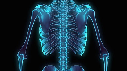 x ray homeopathy