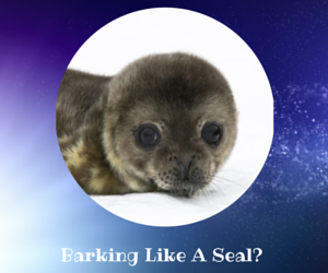 Barking Like A Seal Pack - 10% off